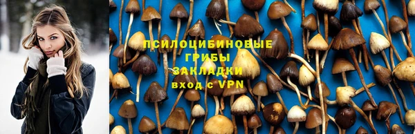 дурь Алзамай